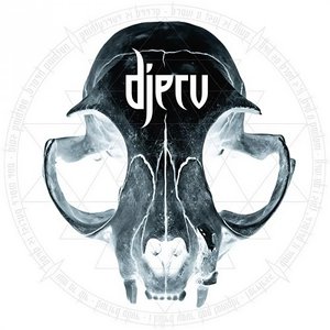 Image for 'Djerv'