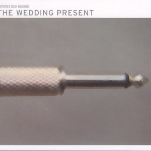 Image for 'Shepherd's Bush Welcomes The Wedding Present'