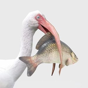 Image for 'IBIS AM (Original Game Soundtrack)'