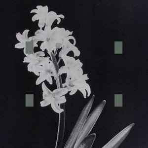 Image for 'When Death Leaves'