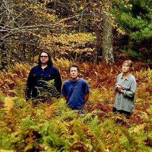 Image pour 'Yo La Tengo'