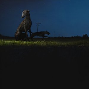 Image for 'donde van los perros'