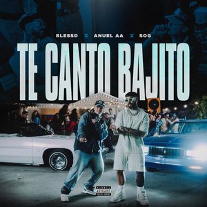 Image for 'TE CANTO BAJITO'
