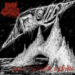 Immagine per 'Rupture Of The Celestial Meatwall'