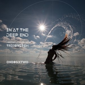 Изображение для 'In at the Deep End (Compiled and Mixed by Tripswitch)'