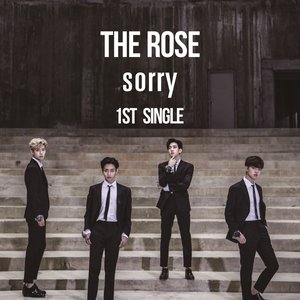'Sorry' için resim