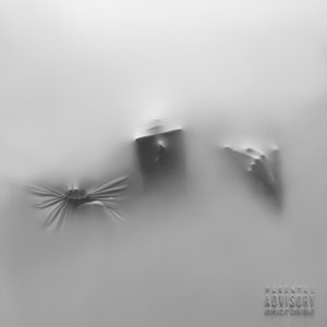 Image for 'Cocoon'