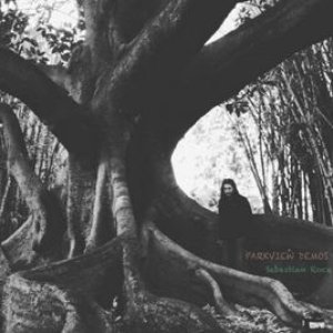 Image for 'Parkview Demos'