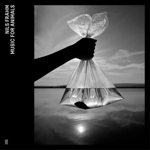 Image pour 'Music for Animals'