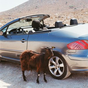 Image for 'Prove The Mountains Move'