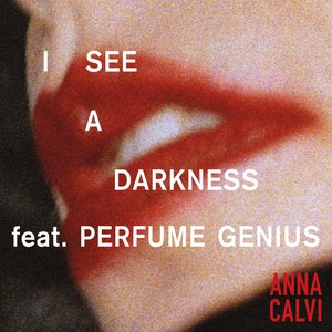 Image for 'I See A Darkness'