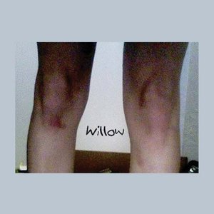 Image pour 'Willow'