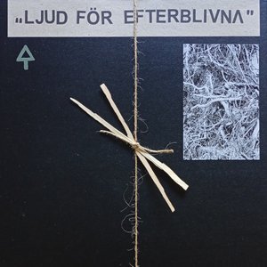 Image for 'Ljud För Efterblivna'