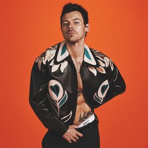 Bild för 'Harry Styles'