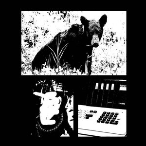 'Black Bear' için resim