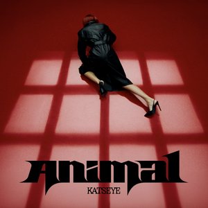 Immagine per 'Animal'