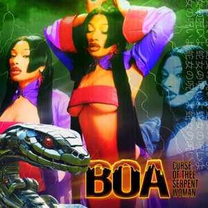 Image for 'BOA'