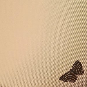 Image for 'butterfly~tape'
