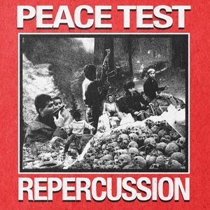 Image for 'Repercussion'