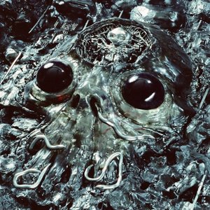 Image for 'Level 5 - Single'