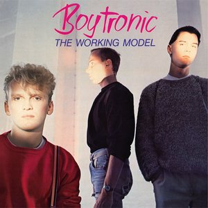 Изображение для 'The Working Model (Deluxe Edition)'