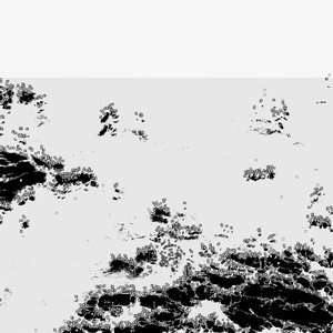 Image for 'The Black Sea'