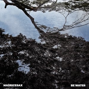 Image for 'Be Water'