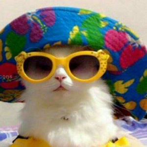Helenaguilopes