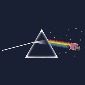 lunkrr