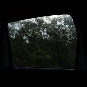 Image for 'Vida y milagros'