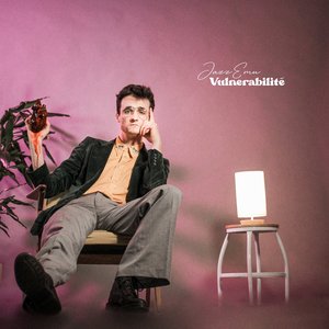 'Vulnerabilité'の画像