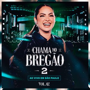 Image for 'Chama no Bregão 2 | Vol. 2 (Ao Vivo)'