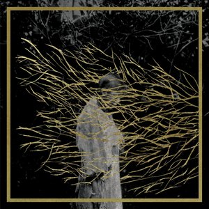 Image for 'Engravings (2025 Remastered)'
