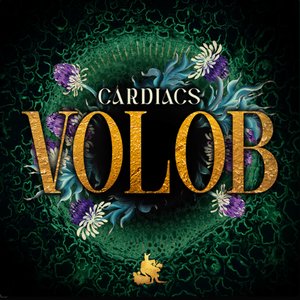 Image for 'Volob'