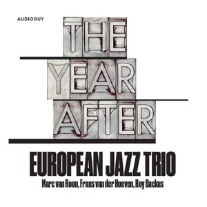 Image for 'The Year After'