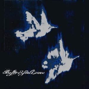 Image for 'beforeyouleave'