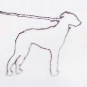 Image for 'portrait of a dog'