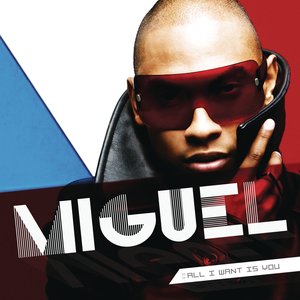 Image for 'All I Want Is You'