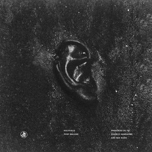 Immagine per 'Post Malone'