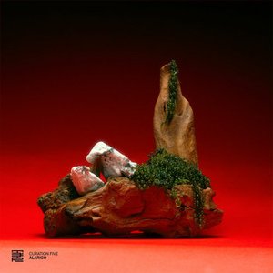 'Curation Five: Alarico'の画像