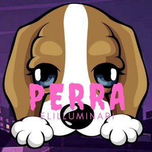 Image for 'Perra'