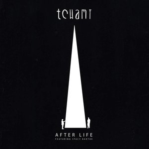 Image for 'After Life (Feat. Stacy Barthe)'