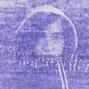 Image for 'IceWings'