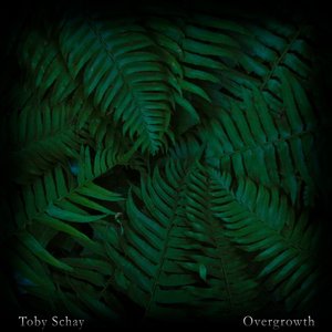 Image for 'Overgrowth'