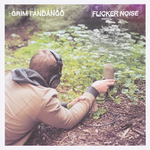 Image for 'Flicker Noise'