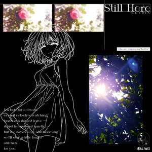 Image for 'Still Here'