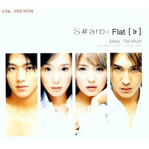 Image for 'Flat (♭) Album'