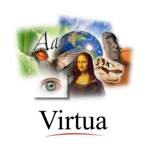 Image for 'virtua'