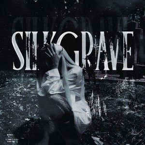 Image for 'silkgrave'