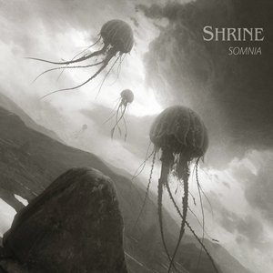 Image for 'Somnia'